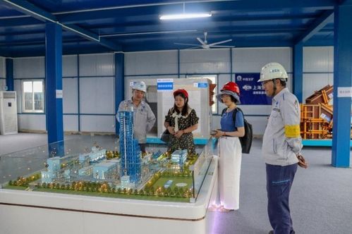 助力鋼企零碳示范工廠項(xiàng)目建設(shè) 走進(jìn)上海寶冶承建的湛江鋼鐵百萬噸級氫基豎爐項(xiàng)目